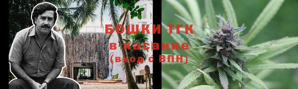 прущие грибы Покров