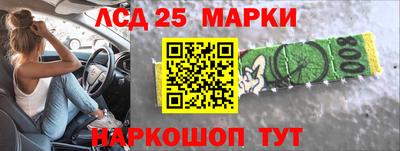 a pvp Можга