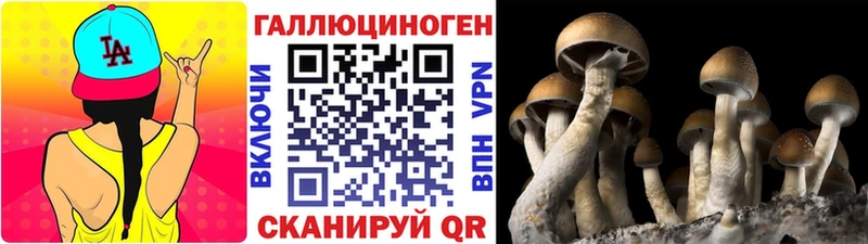 darknet Telegram  Дубна  Галлюциногенные грибы мицелий  как найти закладки 