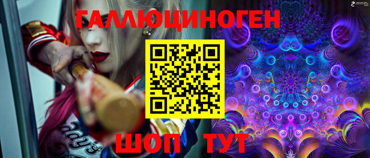 Псилоцибиновые грибы Psilocybe  Вход с VPN  Дубна 