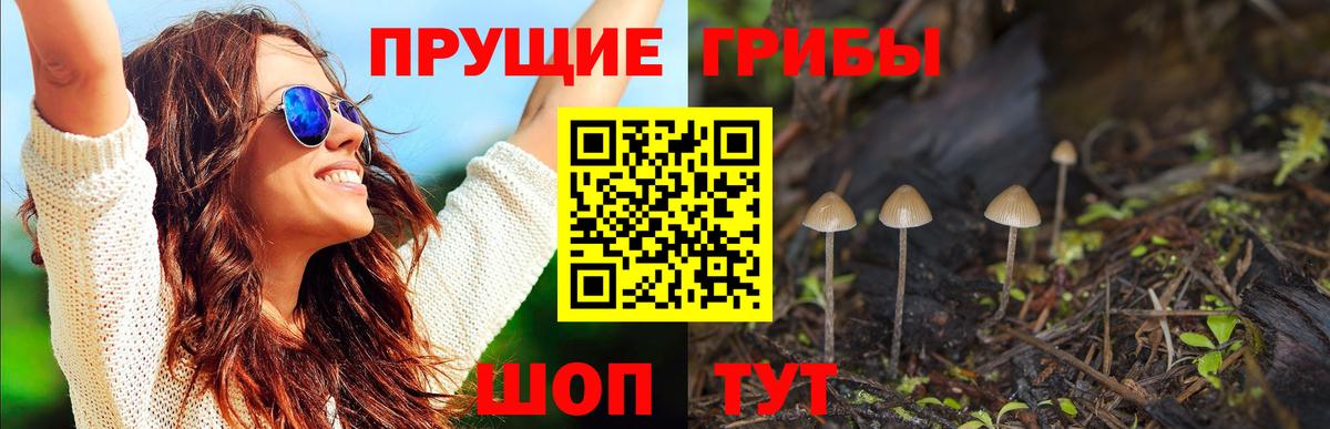 Псилоцибиновые грибы ЛСД Дубна