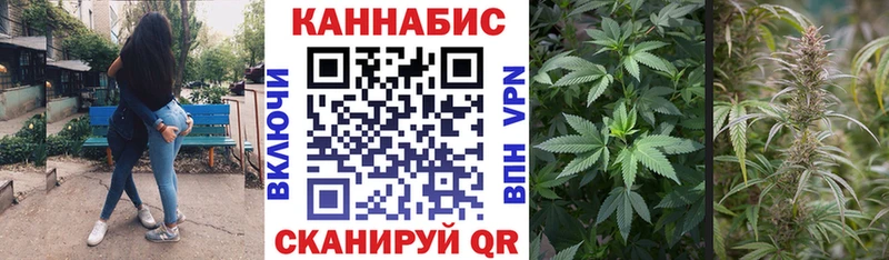 магазин продажи наркотиков  shop формула  Бошки Шишки планчик  Дубна 