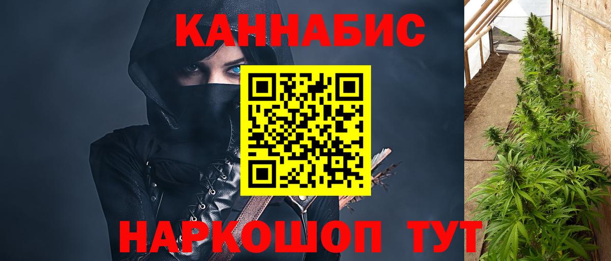 Марихуана марихуана  Вход с VPN  Бошки марихуана семена  Дубна  МАРИХУАНА сатива  Шишки марихуана тримм 