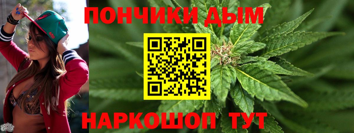 Бошки марихуана конопля Дубна